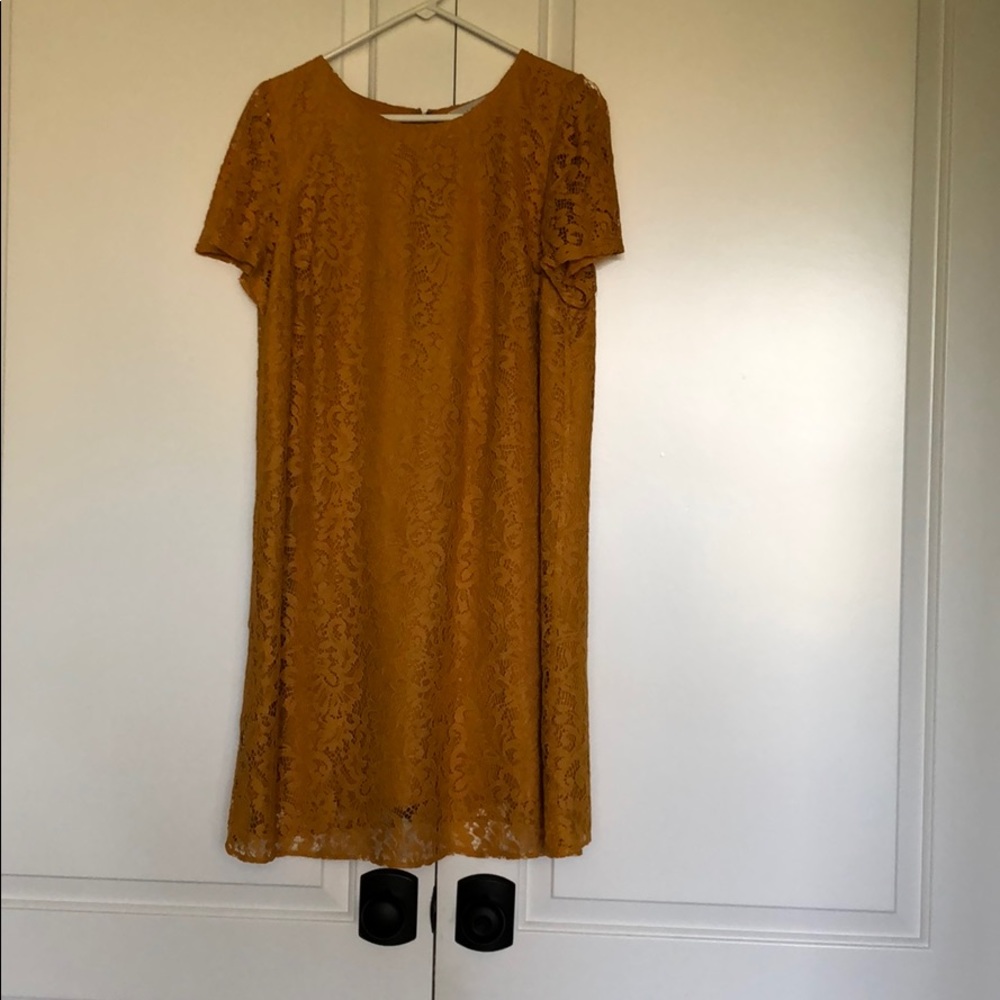 Lace detail dress, size 14, worn once